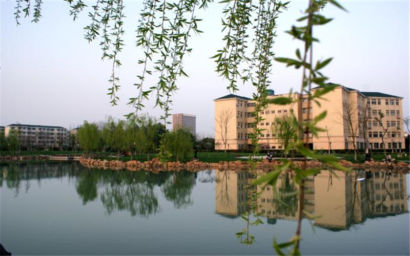 合肥大学 gallery image 2
