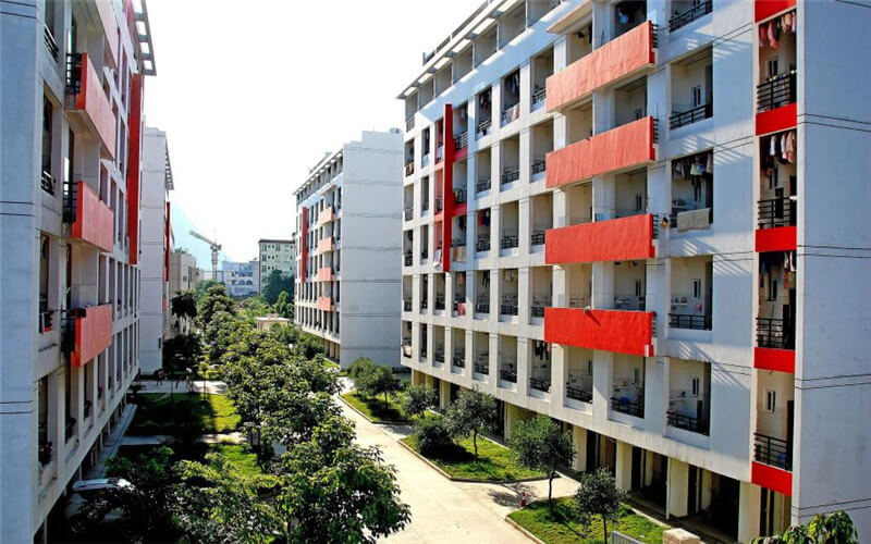 河池学院 gallery image 3
