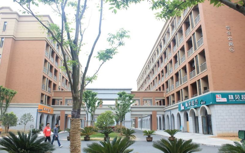 浙江农林大学暨阳学院 gallery image 3