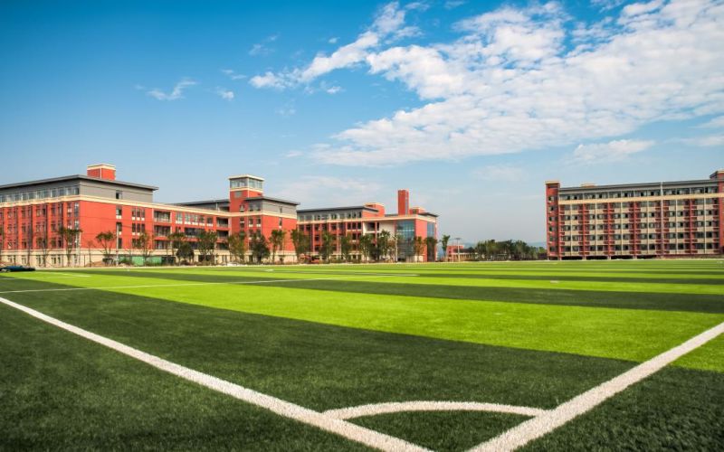 湖南医药学院 gallery image 2