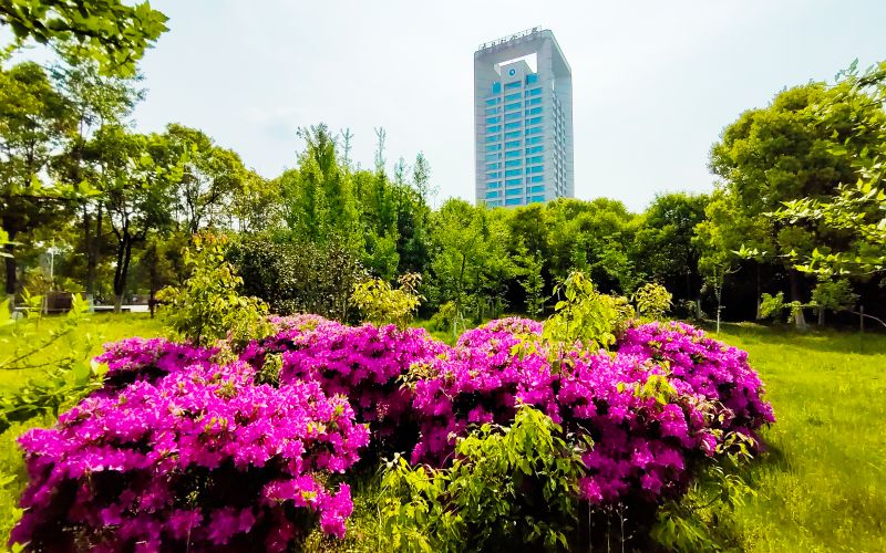 南昌航空大学 gallery image 3