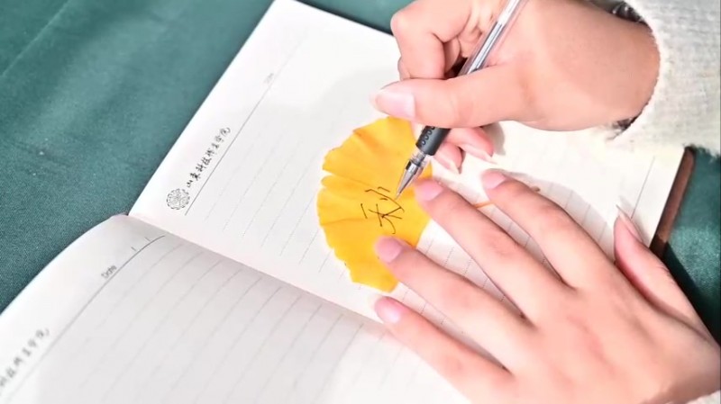 山东科技职业学院主图