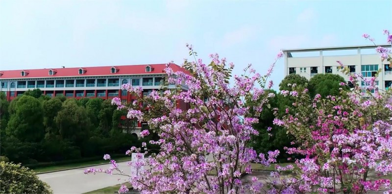 四川大学锦江学院主图