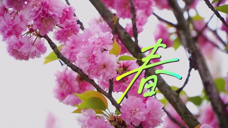 贵州城市职业学院主图