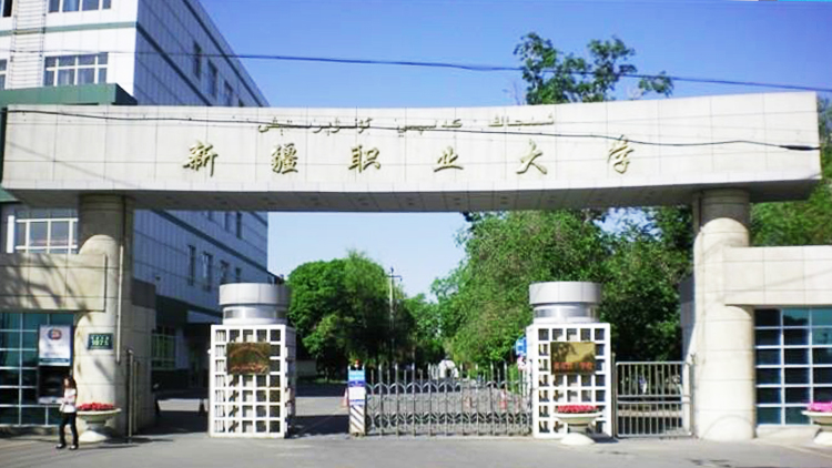 新疆大专学院图片