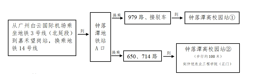 路线3.png