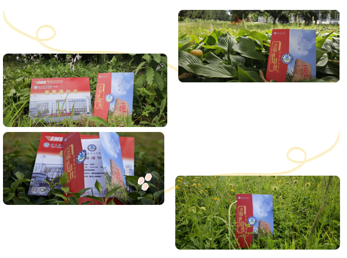 微信图片_20240730091502